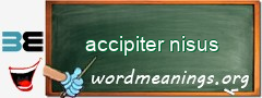 WordMeaning blackboard for accipiter nisus
